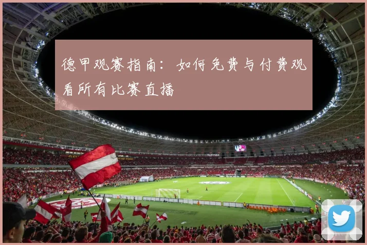 德甲观赛指南:如何免费与付费观看所有比赛直播
