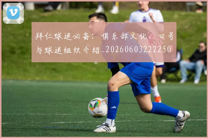 拜仁球迷必备:俱乐部文化、口号与球迷组织介绍_20260603222250