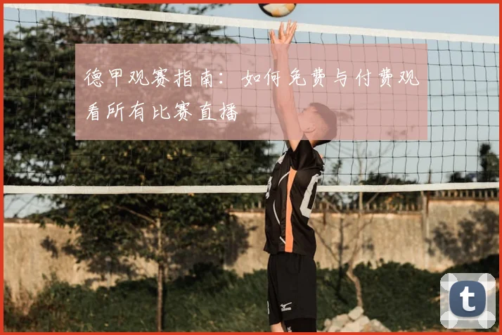 德甲观赛指南：如何免费与付费观看所有比赛直播